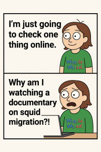 The internet is a dangerous place…for my plans!